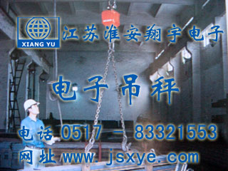 電子吊秤廠(chǎng)家江蘇淮安翔宇電子吊秤系列 1~50噸直顯電子吊秤 無(wú)線(xiàn)儀表控制電子吊秤 更多電子吊秤吊鉤秤就在www.birdpanel.com 電話(huà)0517-83321553