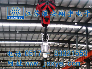 電子吊秤廠(chǎng)家江蘇淮安翔宇電子吊秤系列 1~50噸直顯電子吊秤 無(wú)線(xiàn)儀表控制電子吊秤 更多電子吊秤吊鉤秤就在www.birdpanel.com 電話(huà)0517-83321553