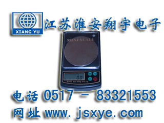 天平秤,口袋秤,天平口袋秤,口袋天平秤,天平秤廠(chǎng)家,XYEB