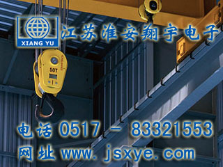 起重限制保護系統廠(chǎng)家江蘇淮安翔宇電子測控自動(dòng)化起重機超載限制器 起重超載限制器保護系統安全可靠堅固耐用 更多起重機起重限制器就在www.birdpanel.com 電話(huà)0517-83321553