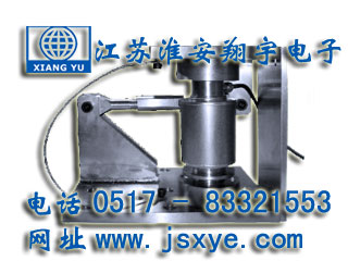 XYWS-CSM稱(chēng)重模塊