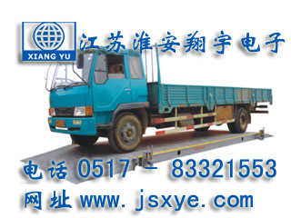 移動(dòng)汽車(chē)衡,移動(dòng)式汽車(chē)衡,移動(dòng)電子汽車(chē)衡,移動(dòng)式電子汽車(chē)衡,移動(dòng)汽車(chē)衡廠(chǎng)家,移動(dòng)電子汽車(chē)衡廠(chǎng)家,XYTS-W