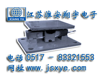 XYWS-BM稱(chēng)重模塊
