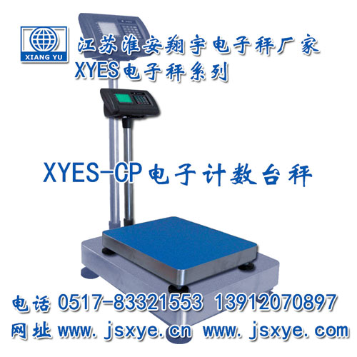 計數臺秤,計數臺秤廠(chǎng)家,臺秤,臺秤廠(chǎng)家,江蘇臺秤,淮安臺秤,XYES