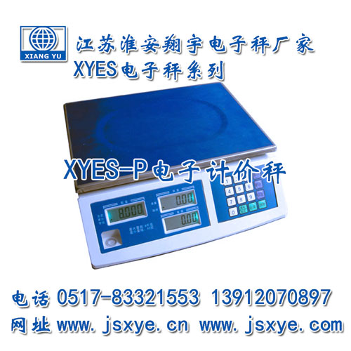 計價(jià)秤,計價(jià)秤廠(chǎng)家,江蘇計價(jià)秤,淮安計價(jià)秤,電子秤,電子秤廠(chǎng)家,XYES