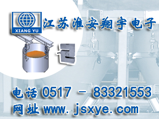 料斗秤,料斗秤廠(chǎng)家,XYHS 