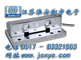軌道傳感器,軌道稱(chēng)重傳感器,軌道傳感器廠(chǎng)家,軌道稱(chēng)重傳感器廠(chǎng)家,XYWS-TR