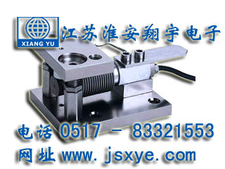 XYWS-CPM稱(chēng)重模塊