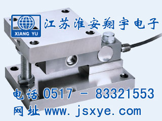 稱(chēng)重模塊,稱(chēng)重模塊廠(chǎng)家,XYWS-CBSAM