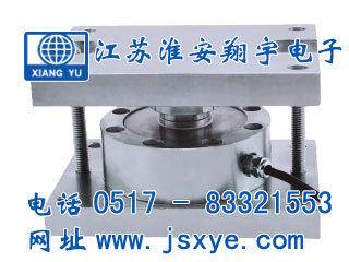 稱(chēng)重模塊,稱(chēng)重模塊廠(chǎng)家,XYWS-SAM